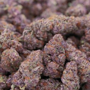 Blackberry Kush Strain