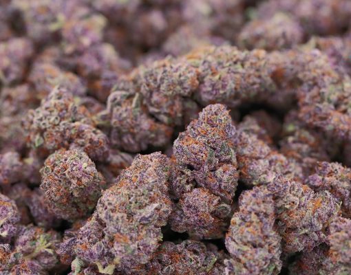 Blackberry Kush Strain